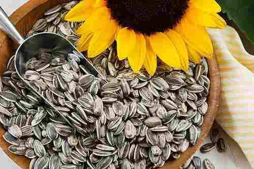 A Grade Sunflower Seeds