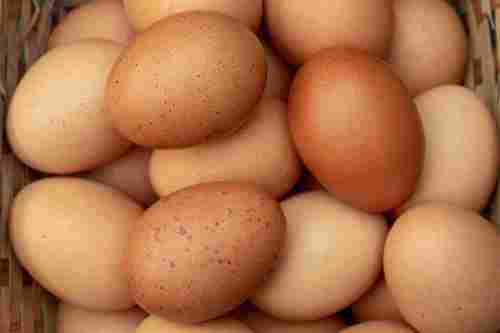 High Protein Brown Eggs