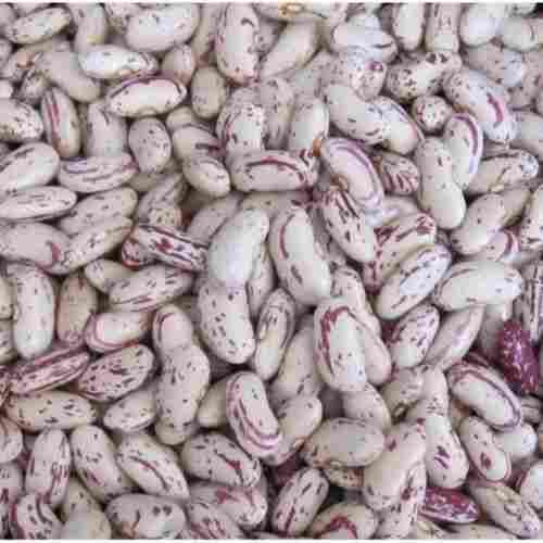 Healthy and Natural Speckled Kidney Beans