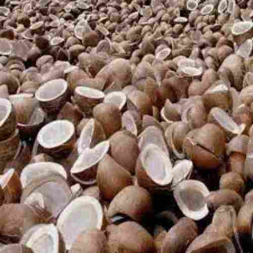 Bulk Dried Coconut Copra