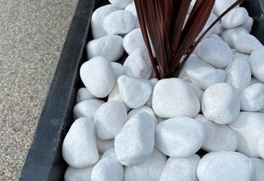 Natural White Cobblestones For Landscaping And Pavement Size: Various Sizes Available