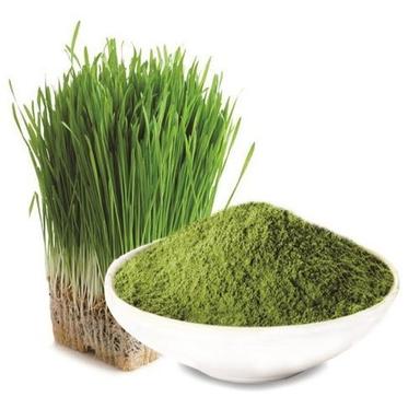 Premium Barley Grass Powder Recommended For: All