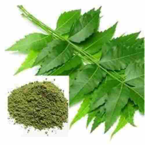 Dried Green Neem Extract