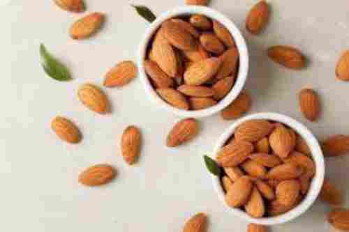 Rich Protein Almond Nut