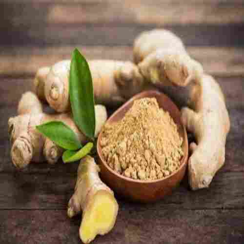Healthy and Natural Dried Ginger Powder
