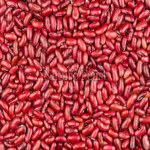 Healthy and Natural Red Kidney Beans