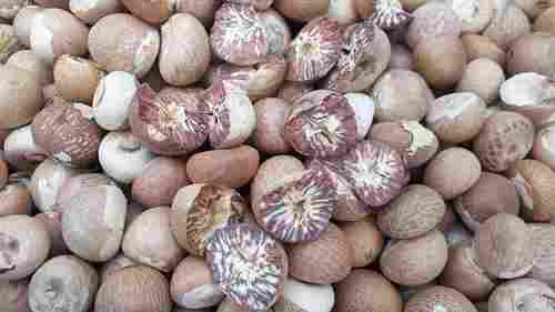 Organic Dried Betel Nuts