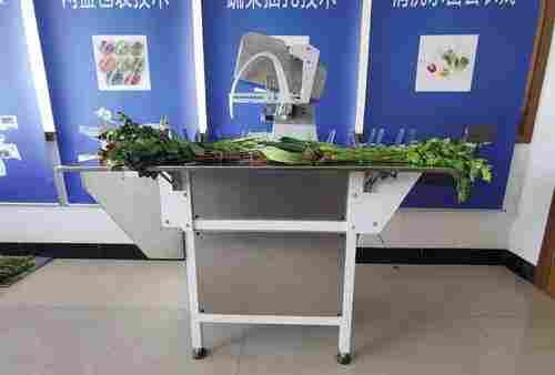 Automatic Vegetable Flower Noodles Binding Machine
