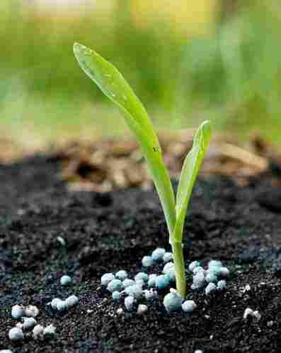 Organic Fertilizer for Agriculture