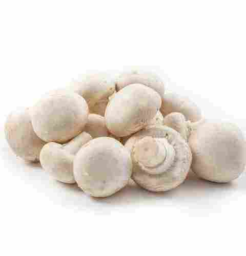 White Canned Button Mushrooms