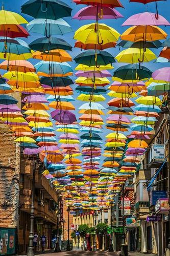 All Plain Single Color Umbrella