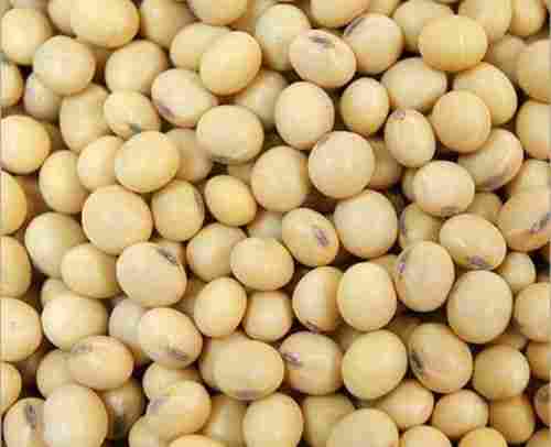 Chemical Free Soyabean Seeds