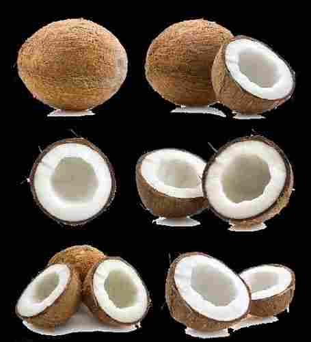 Good Taste Fresh Coconut