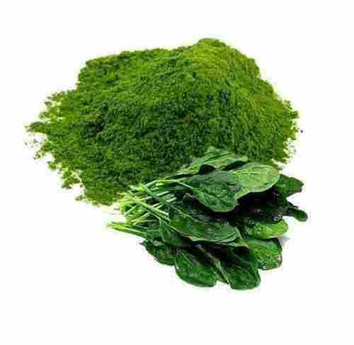 Green Spinach Vegetables Powder