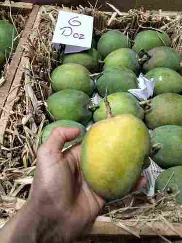 Pure Ratnagiri Hapus Mango
