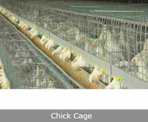 Uniform Growth Chick Cage