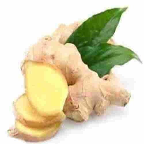 Healthy and Natural Organic Fresh Ginger