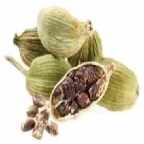 Healthy and Natural Cardamom Seeds