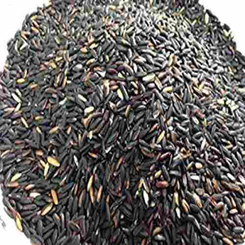Healthy and Natural Long Grain Black Rice