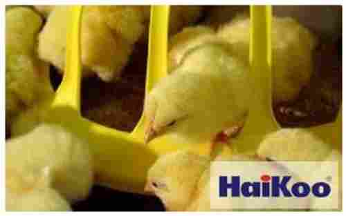 Poultry Chicken Haikoo Feeding System