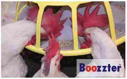 Poultry Farm Boozzter Feeding System