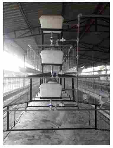 Commercial Poultry Steel Cage