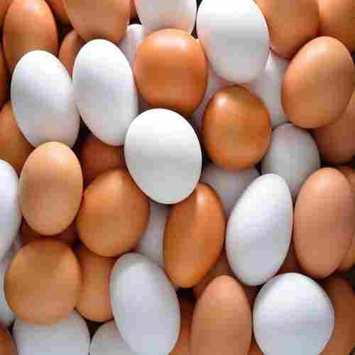 Fresh Chicken Table and Farm Eggs (White Shell, Brown Shell)
