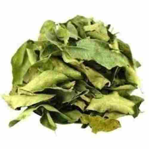 Healthy and Natural Dry Curry Leaves