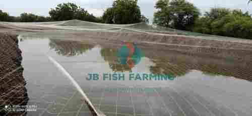 Fish Farming Consultancy