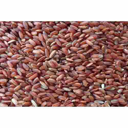 Healthy and Natural Organic Red Rice