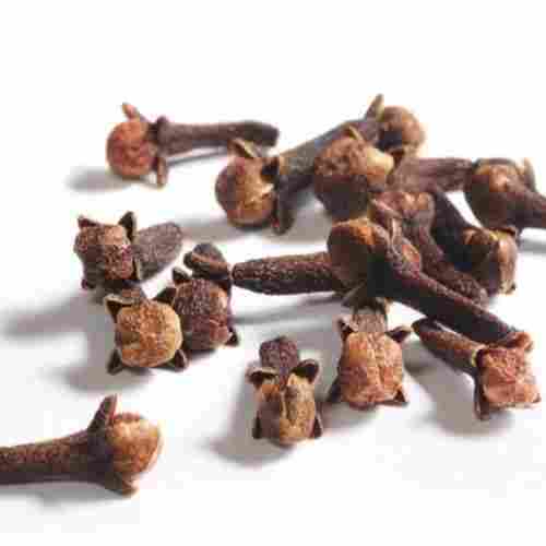 Healthy and Natural Dried Clove Seeds