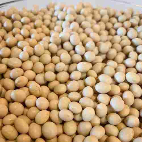 Natural Organic Soybean Seed