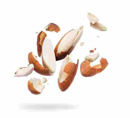 Organic High Grade Broken Almond Nut