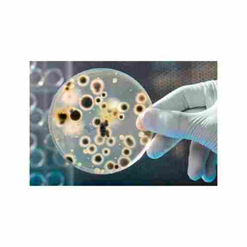 Microbiological Analysis Services