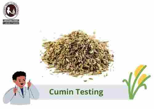 Cumin Seeds Testing Services