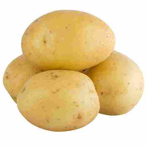 Floury Texture Fresh Potatoes