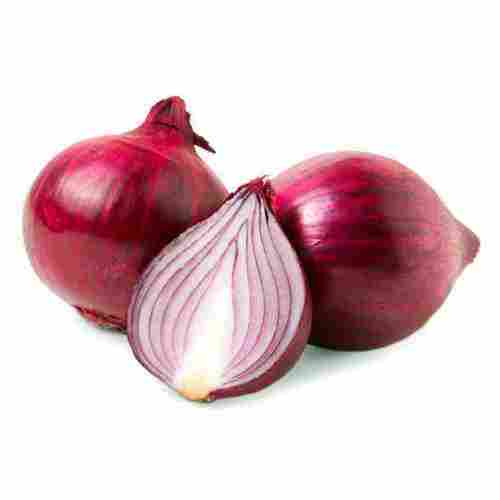 Fresh Brown Red Onion
