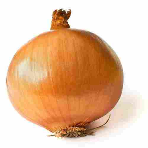 Natural Fresh Yellow Onion