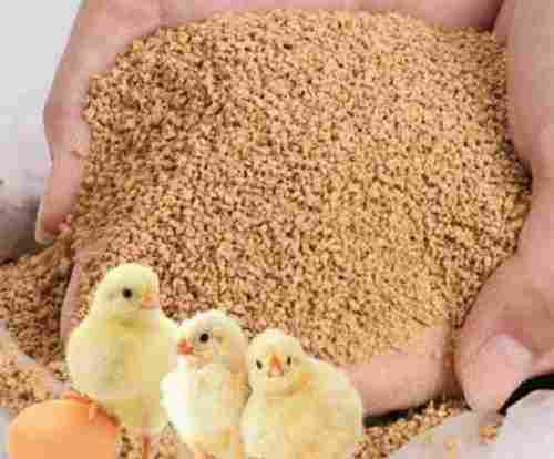 Natural Dried And Fresh Chicken Feed With 3 Months Shelf Life