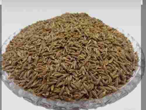 Organic Dried Cumin Seed