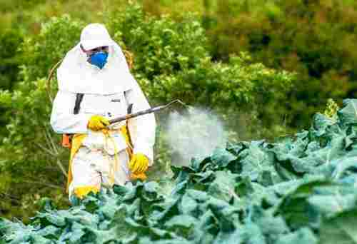 Pesticide License Service Provider