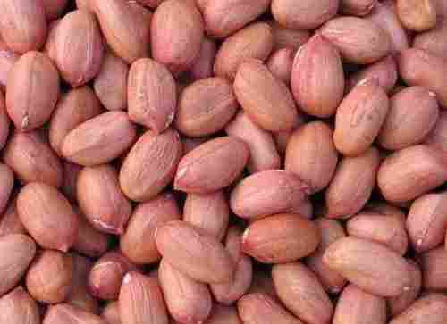 Natural Indian Peanut Seeds