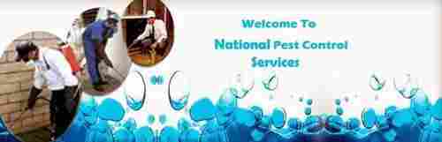 Sanitation And Disinfection Service