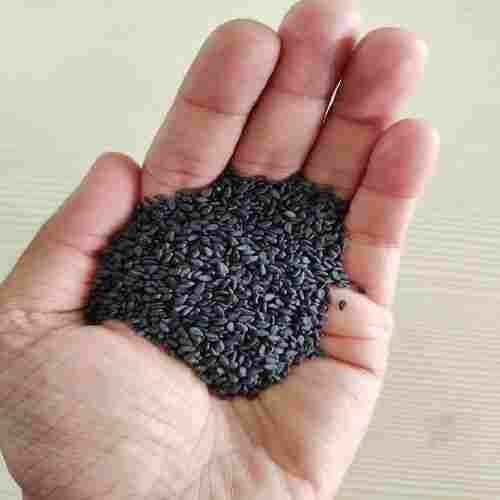 Healthy and Natural Black Sesame Seeds