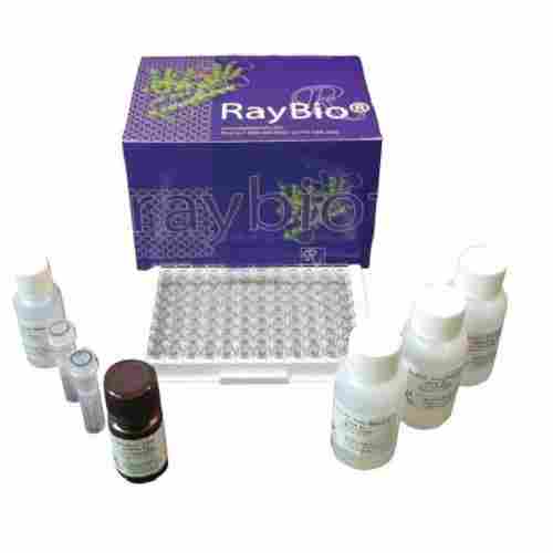 Ray Bio Elisa Kits