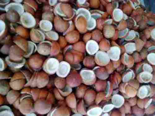 Rich Nutrition Dry Coconut Copra