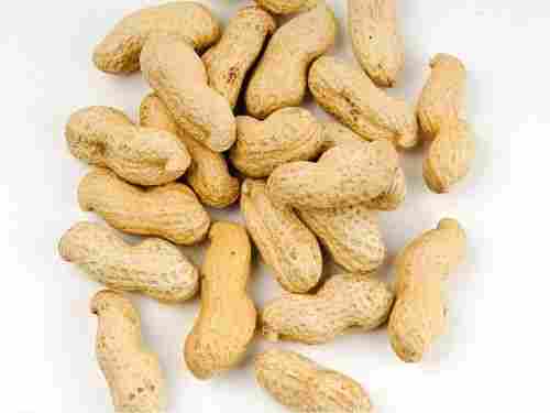 100% Organic Shelled Peanuts