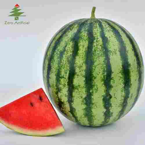 Farm Fresh Organic Watermelon Fruit