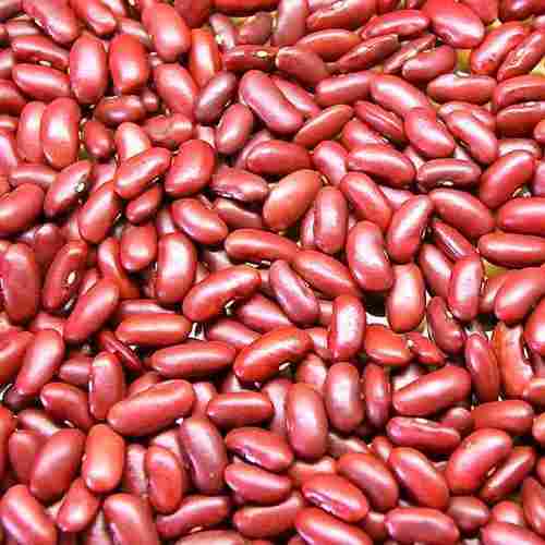 Healthy and Natural Organic Red Kidney Beans