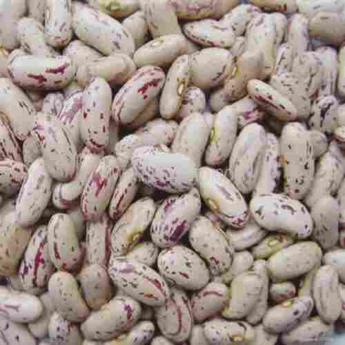 Healthy and Natural Organic Speckled Kidney Beans